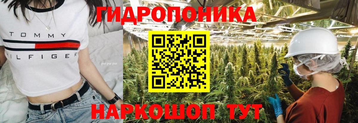 Зеленодольск  Шишки марихуана LSD WEED  Конопля Amnesia  Вход с VPN  Шишки марихуана ГИДРОПОН  Конопля конопля 